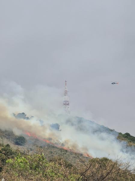 Incendio en Collserola.