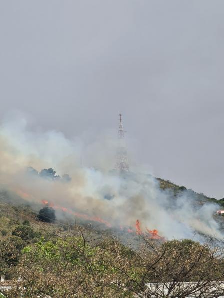 Incendio en Collserola.