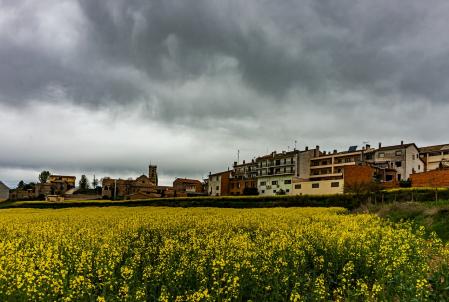 Paisaje de Sant Bartomeu del Grau.