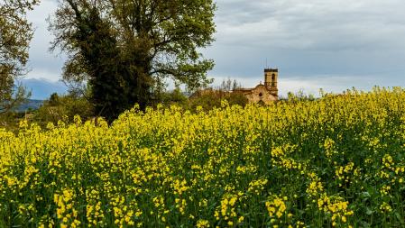 Paisaje de Sant Bartomeu del Grau.