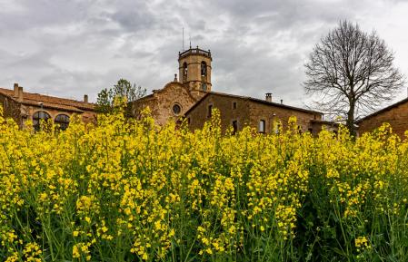 Paisaje de Sant Bartomeu del Grau.
