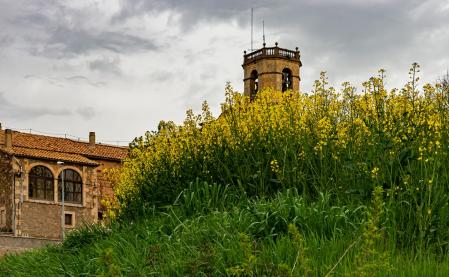 Paisaje de Sant Bartomeu del Grau.