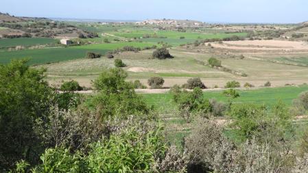 Reto visual de los dos conejos de Altet.