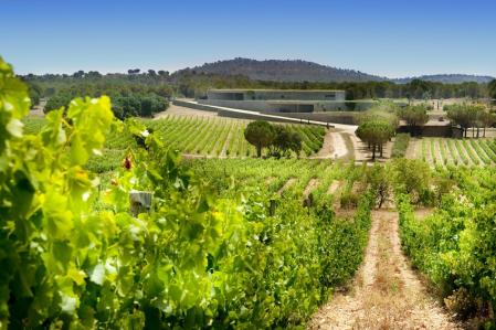 Viñas Tierra Remota con la bodega de fondo, diseño de Pepe Cortés y Nacho Ferrer