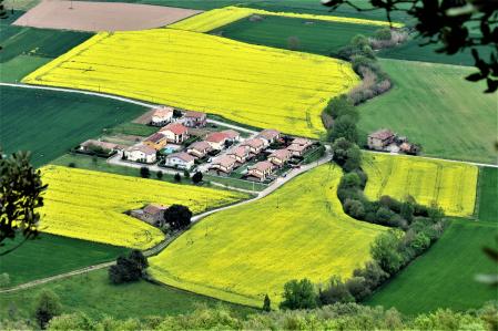 'Alfombras de colores' en la Vall d'en Bas.