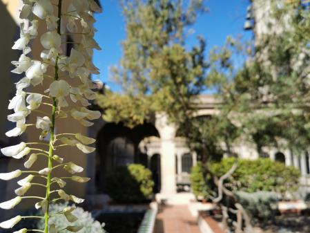 Tras la vegetación de un árbol, el jardín de Mercè Rodoreda.