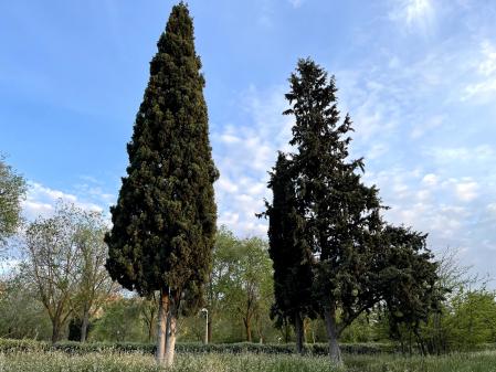 Foto captada con el modo HDR del iPhone 12 Pro Max activado, en la que se observan tonos más intensos de verde y azul que en el teléfono de OnePlus.