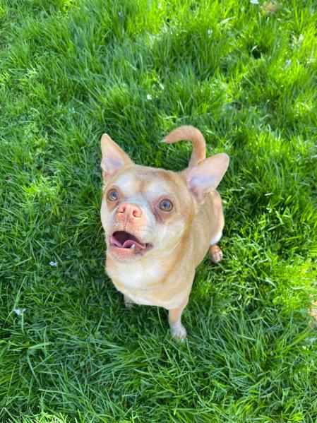 Prancer hacía la vida imposible a su antigua familia.