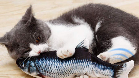 Juguete interactivo en forma de pez con movimiento