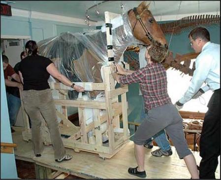 Camino de la cuarta planta