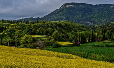 Paisaje de Santa Perpètua de Vespella, en Santa Cecília de Voltregà, Osona.