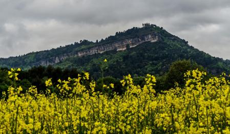 Paisaje de Santa Perpètua de Vespella, en Santa Cecília de Voltregà, Osona.