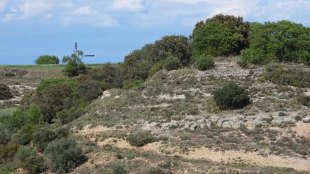 Solución a la segunda imagen del Reto visual.