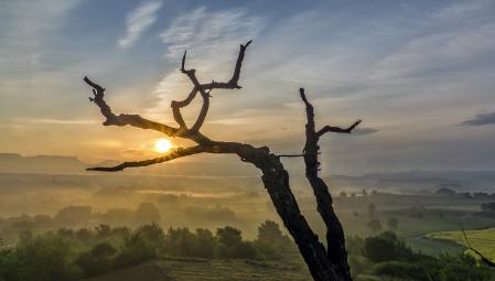 Mañana primaveral en los alrededores de Manlleu.