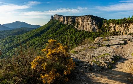 L'Agullola en primavera.