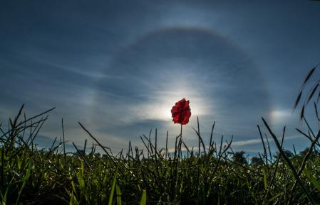 Halo solar con parhelio en Les Masies de Roda, en Osona.