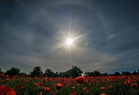 Halo solar con parhelio en Les Masies de Roda, en Osona.