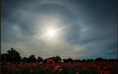 Halo solar con parhelio en Les Masies de Roda, en Osona.