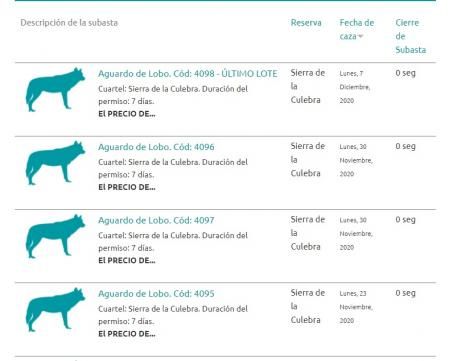 Anuncios en internet de las anteriore subastas de licencias de lobos (del 2020) en Sierra de Culebras .