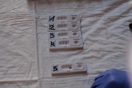 Resultado de los test de antígenos realizados