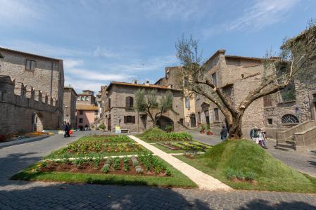 Piazza San Carluccio square. Old Town. Viterbo. Lazio. Italy. Europe. (Photo by: Mauro Flamini/REDA&CO/Universal Images Group via Getty Images)
