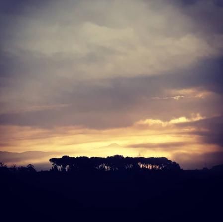 Amanecer en els Gallecs.