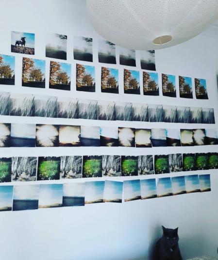 Montaje de fotos de Gallecs realizado durante el confinamiento.