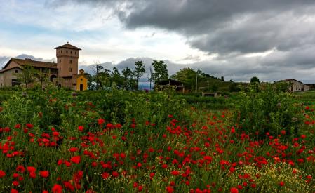 La masía Els Felius entre las amapolas.