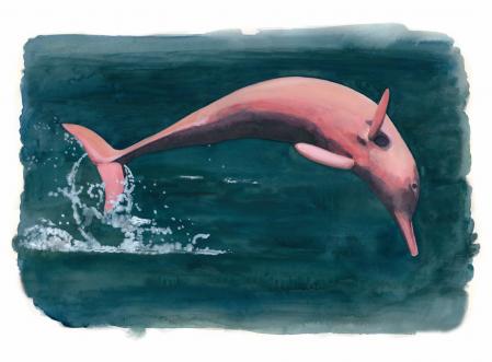 Delfín rosa