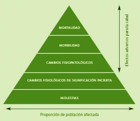 Representación de los diferentes efectos de la contaminación atmosférica sobre la salud. 
Fuente: Tenías y Ballester, 2009.