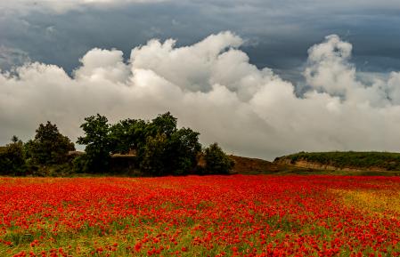 El campo con nieblas y nubes onduladas.