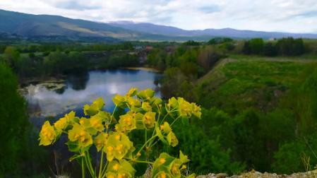 Naturaleza viva en La Cerdanya.