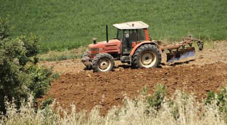 El espacio natural de Gallecs.