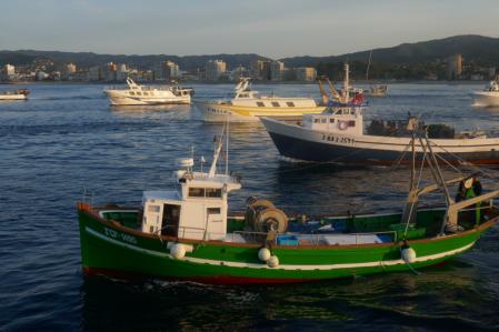 Pesca de la gamba en Palamós.
