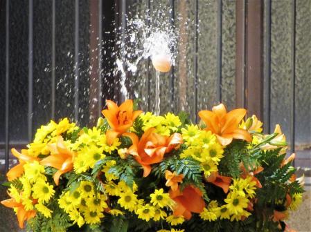 L'Ou com Balla en Sabadell.