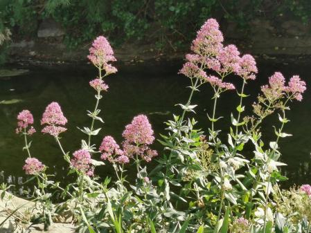 Jardins de Mossèn Cinto Verdaguer.