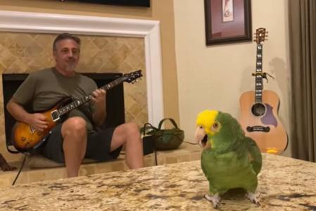 Tico se atreve con canciones desde rock hasta reggae e incluso baladas