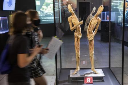 Exposición Human Bodies en el centro comercial Les Arenes con cuerpos momificados de personas asiáticas