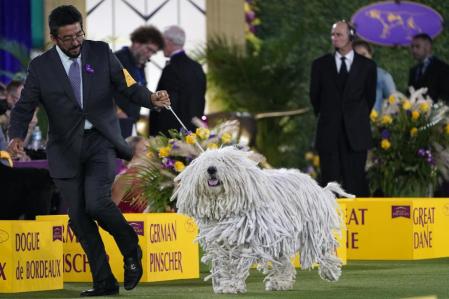 Los participantes lo dieron todo de sí.