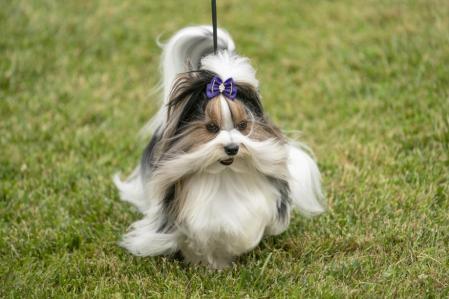 Otro de los participantes, preparado para la competición.