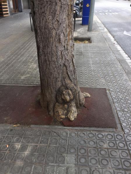 Árbol con el tronco con forma de perro en la calle Mandri.