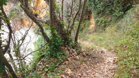 Rías de Ortigueira y Cedeira.