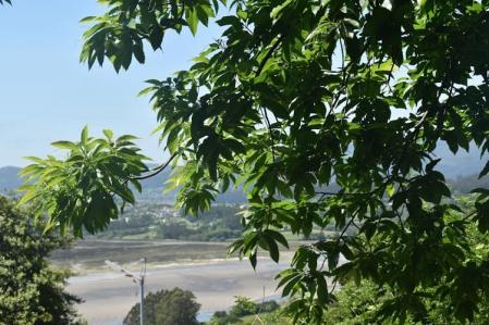 Rías de Ortigueira y Cedeira.