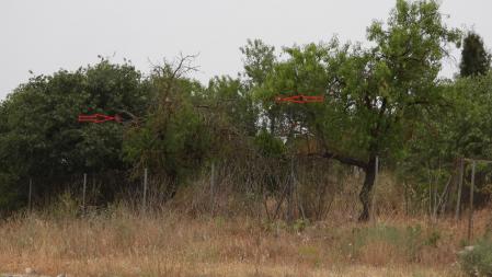 Solución al Reto visual del alcaudón.