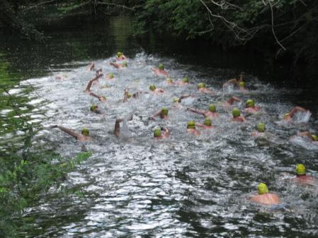 Travesía Tossols Basil.