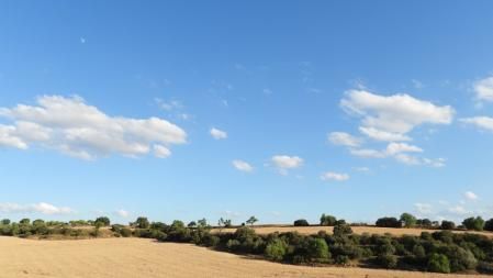 Reto visual: ¿Dónde está la luna?