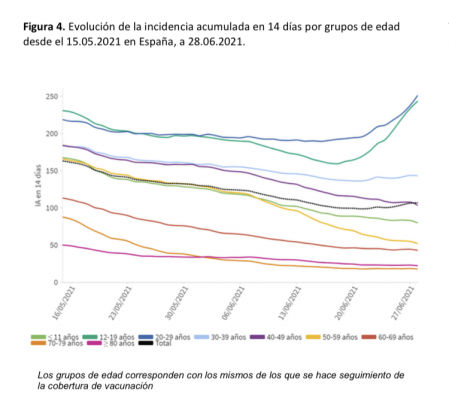 Evolución de la incidencia acumulada en 14 días por grupos de edad.