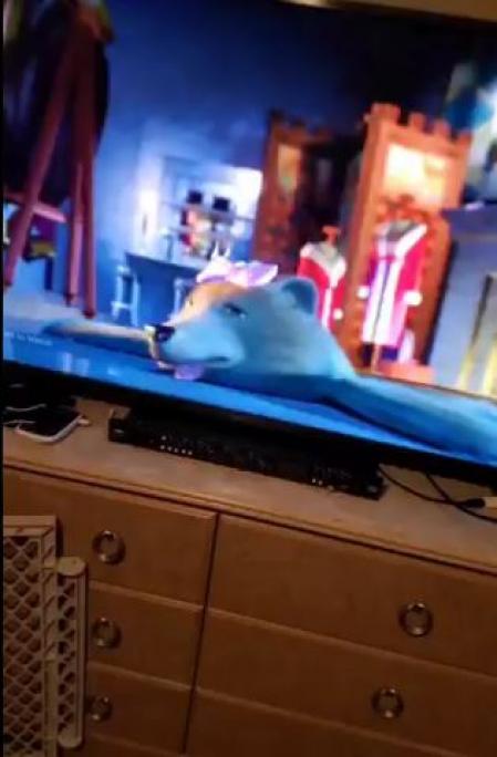 El lazo es el detonante de este traumático descubrimiento