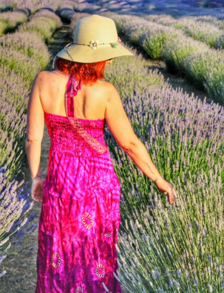 Campo de lavanda en Santa Eulàlia de Ronçana.
