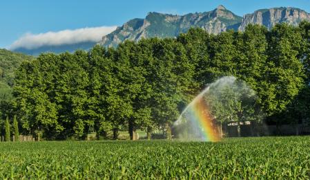 Paisaje soleado con la niebla en el mote.